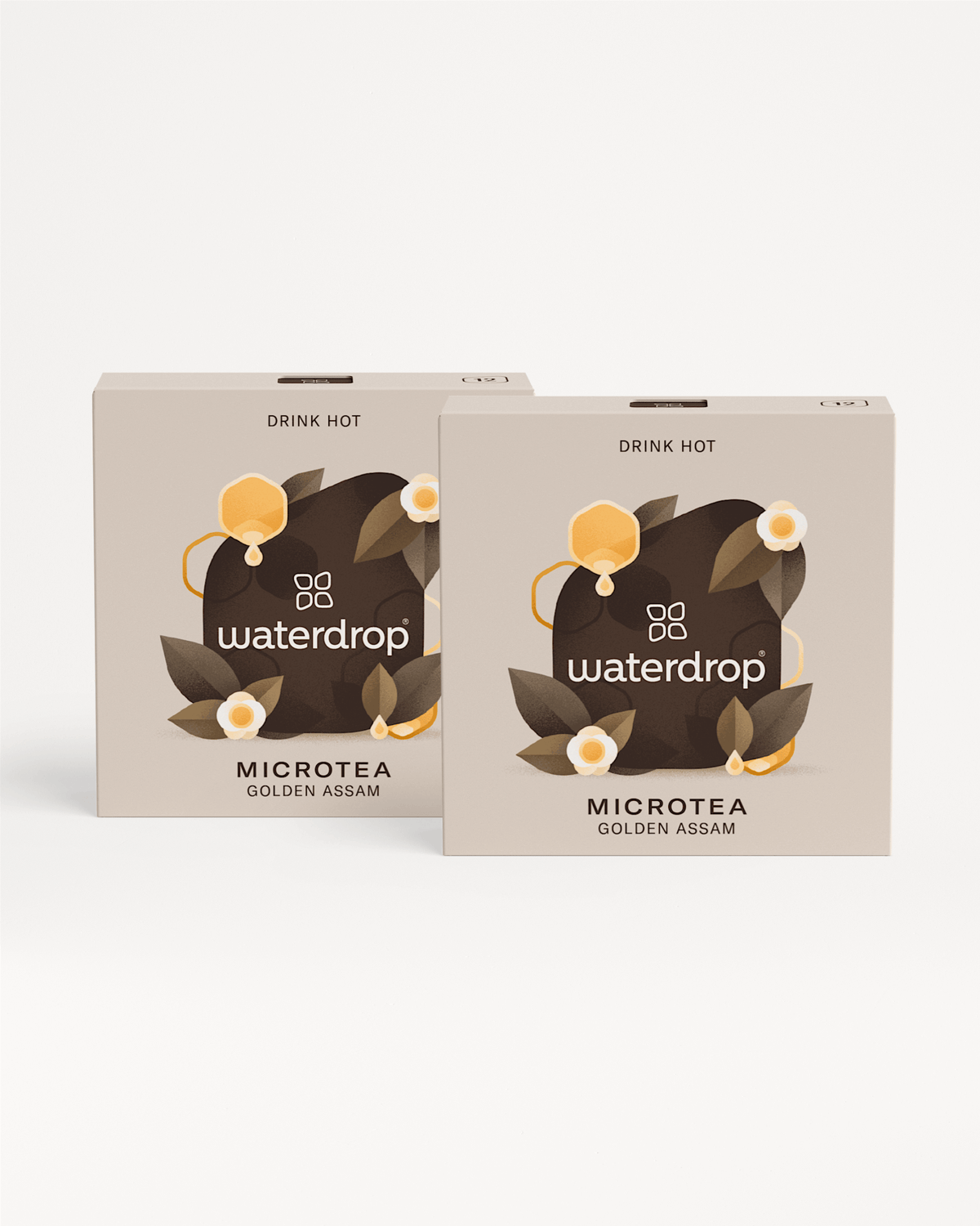 Microtea 1+1