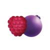 WILDBERRY FUSION