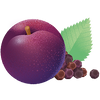 SPICED PLUM IMMUNITY